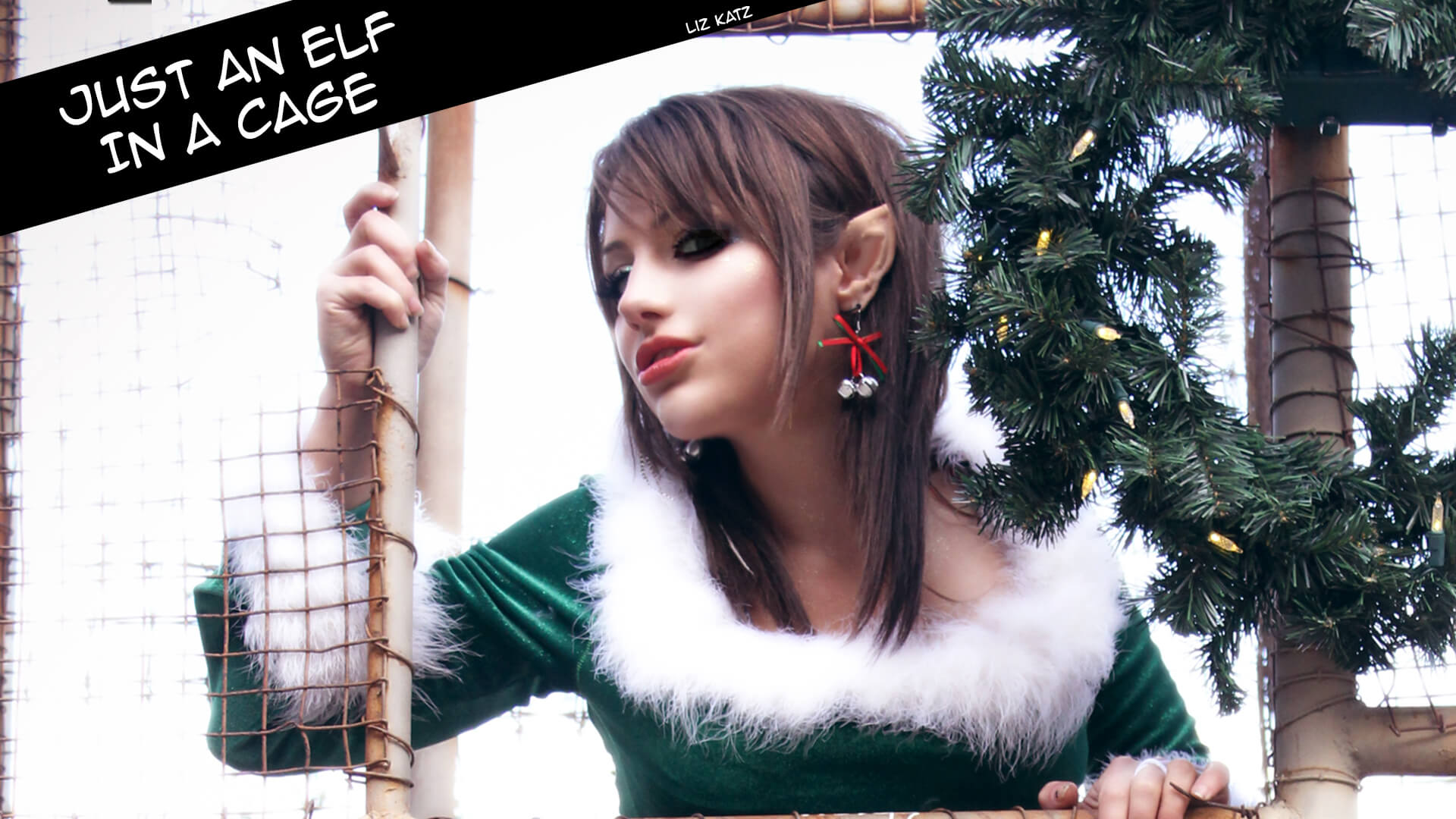 Liz katz harley christmas plat 1200 - nf host